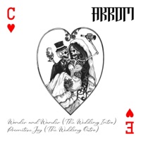 Wonder and Wander / Primitive Joy - Single - Akrom