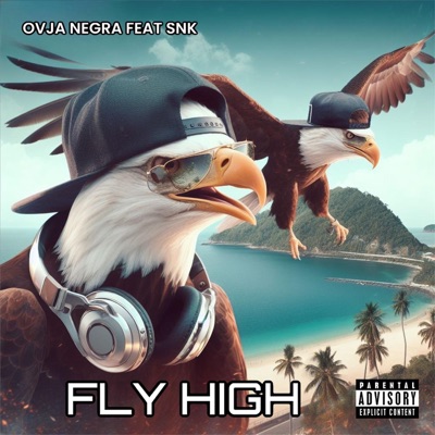 Fly High (feat. SNK) - Single