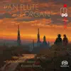 Stream & download Pan Flute and Organ