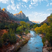 Sleep Until Tomorrow - Single - Nova Jazzers, Dan Stevens & Letnie Głosy Ptaków