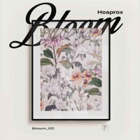 Bloom - Single - Hoaprox