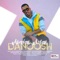 Abadan Aslan - Danoosh lyrics