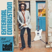 Mike Campbell & The Dirty Knobs - Wicked Mind