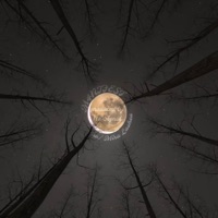 M4NIFEST - Single - tyepacino