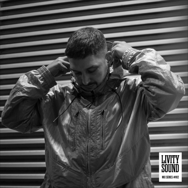 Livity Sound Mix Series #012 (DJ Mix)