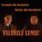 Valurile Lumii! - Fernando din Barbulesti & Marius din Barbulesti lyrics