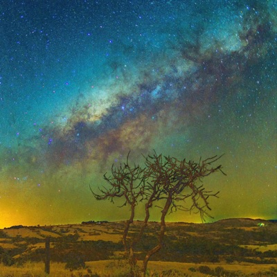 Contemplation - Single