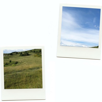 prairie - Single