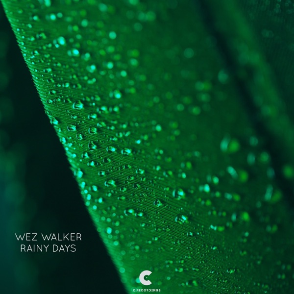 Rainy Days - Single