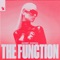 The Function artwork