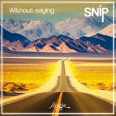 Without Saying (feat. Uli Brodersen & Achim Rafain) artwork