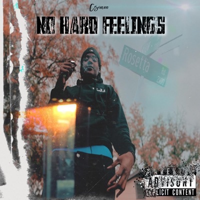 No Hard Feelings