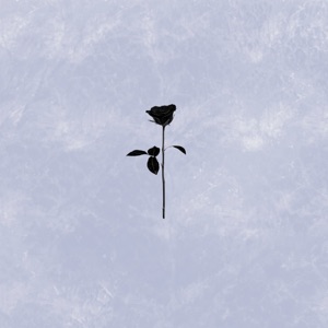 Obscurities of Now - Single