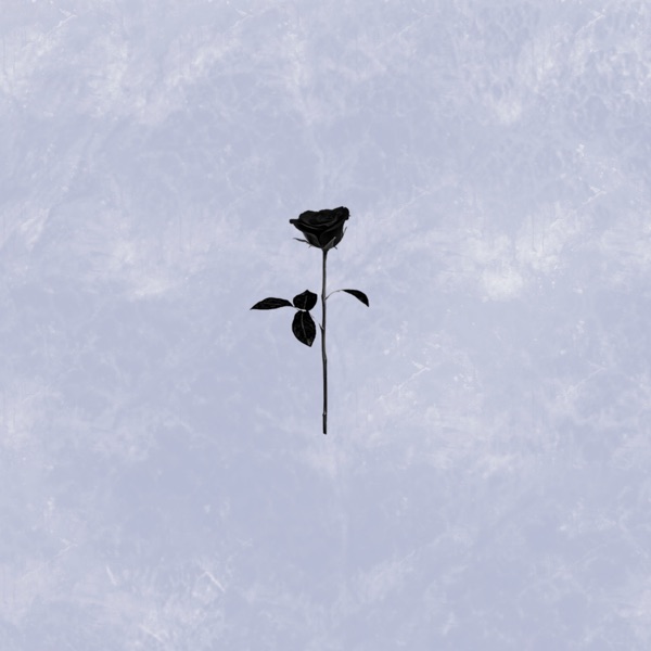 Obscurities of Now - Single