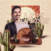 Flor de Flamboyant - Single - Túlio Duarte