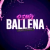 Ballena (Remix) - Single