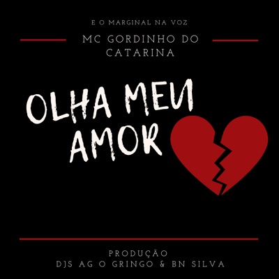 Olha Meu Amor - Single