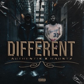 Different (feat. Hauntz) Authentik Bars