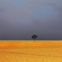 Для тебя - Single - Kanabe