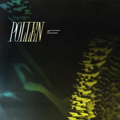 Pollen - Single