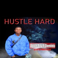 Hustle Hard (feat. Dominic) - Single - Apple Boy