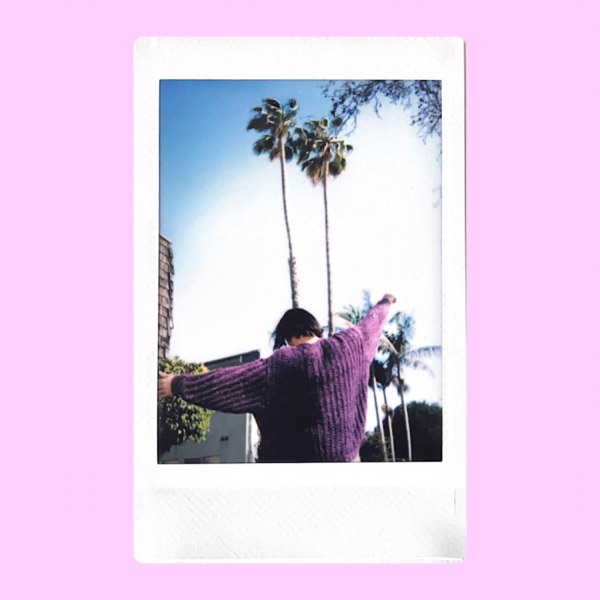 Purple Sweater