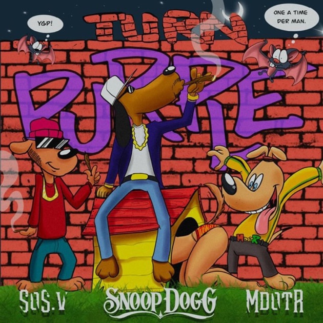 名盤 Snoop Dogg Doggystyle 洋楽 HIPHOP レコード Snoop Doggy Dogg: Doggystyle: (w/Gz Up, Hoes Down) CD – Mint