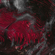Conceptual Priming (Orbe Remix) - WCYA