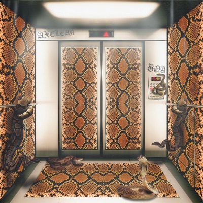 BÖA (feat. Unochrisis) - Single