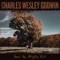 Cranes of Potter - Charles Wesley Godwin lyrics