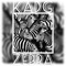 Zebra - KADG lyrics
