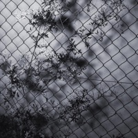 Our Little Secret (feat. D MAUL) - Single - Ohsolow & sayk_