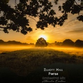 Parea (Orchestral Mix) artwork