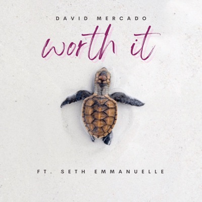 worth it (feat. Seth Emmanuelle) - Single