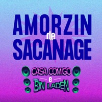 Amorzin de Sacanage - Single - Casa Comigo & MC Bin Laden