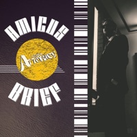 Amicus Brief - Single - The Attorney