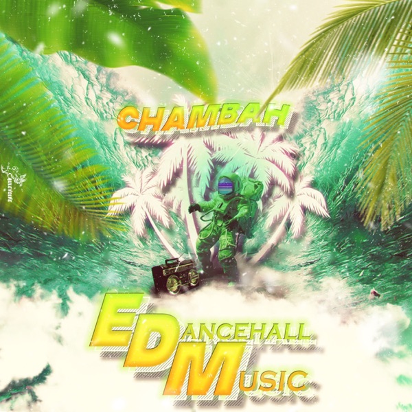 EDM Dancehall Music