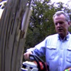 GEORGE BUSH WIT A CHAINSAW FOUND TRAILCAM FOOTAGE (feat. TWIN CHXRLI, Garbagecore, LiL GOLDiE & XANADU) - Single