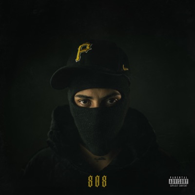 808 FREESTYLE (feat. PWater Sounds) - Single