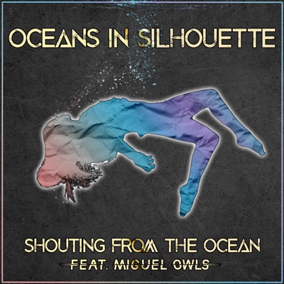 Shouting From the Ocean - Single