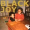 Black Joy (feat. Michelle Higgins) - Seaux Chill & Summer Dregs lyrics