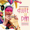 Olivier Ombredane - Flûte de Pan : Mélodies des Andes - Panpipes Grafik