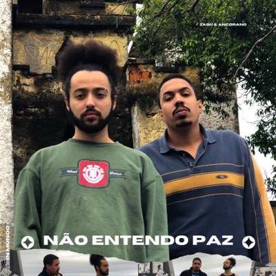 Não Entendo Paz - Single