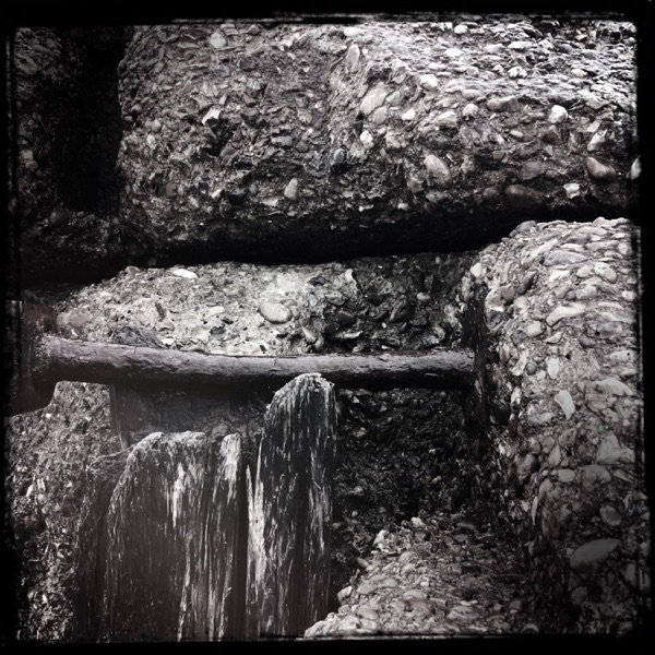 Streams of Consciousness 232504