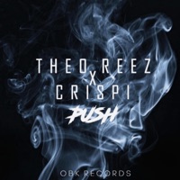 Push (feat. Crispi) - Single - THEO REEZ