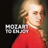 Xavier de Maistre Piano Sonata No. 16 in C Major, K. 545 "Sonata facile" (Transcribed for Harp by Xavier de Maistre): I. Allegro Mozart to Enjoy