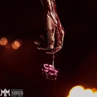 Love is Poisoned (feat. Big Caash) - Single - MeezyMainee