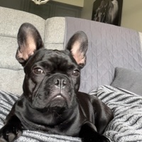 Ca$h Flow (feat. Gp Da Demon) - Single - Herbski