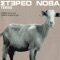 Mobil (Shampoo Mix) - Stereo Nova lyrics