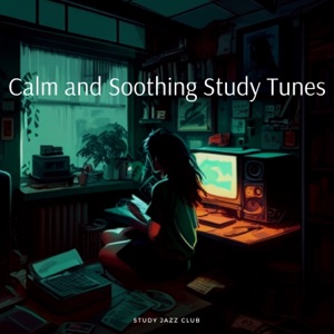 Calm and Soothing Study Tunes